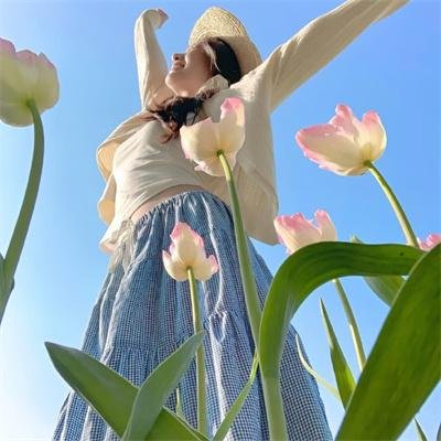 梅林和野兽之书